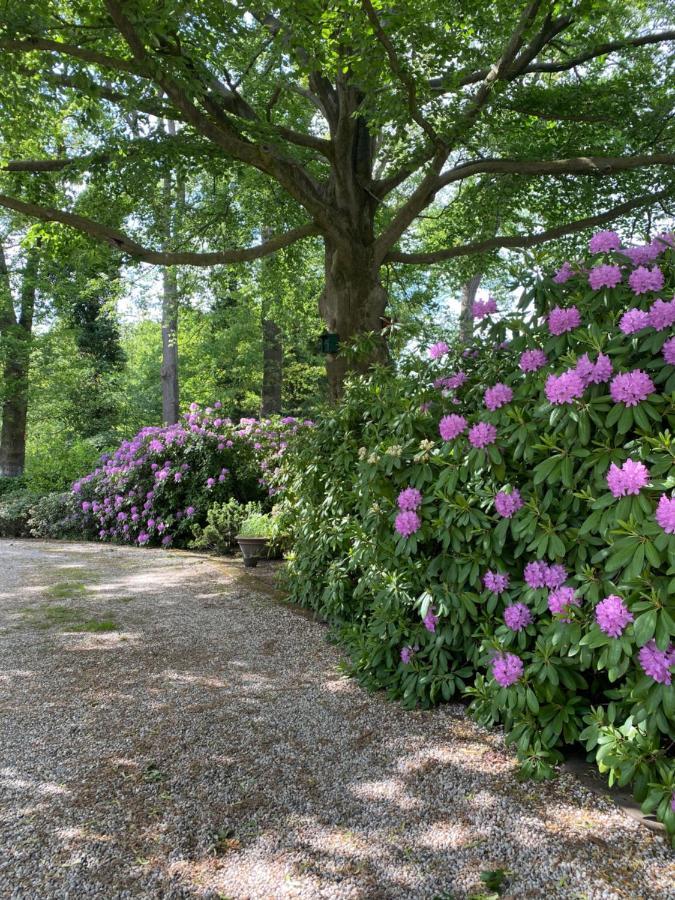 Bed&Breakfast Villa Beldershoek Hengelo  Exterior foto